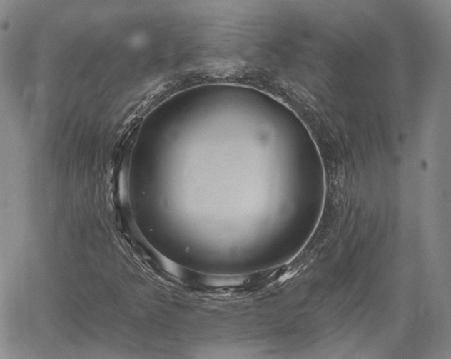 X0000061731349200512091535