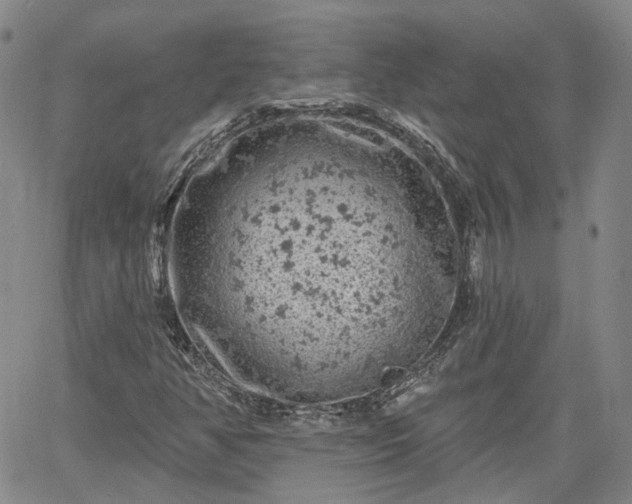 X0000061731350200512091535