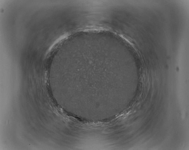 X0000061731351200512091534