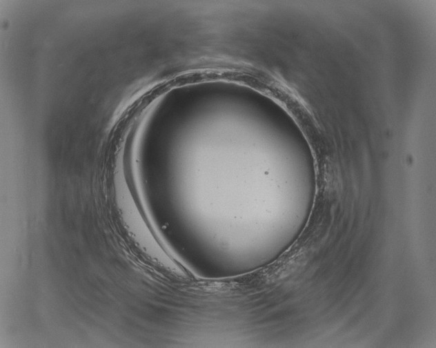 X0000061731352200512091534