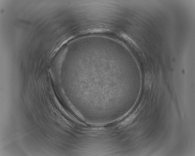 X0000061731353200512091534