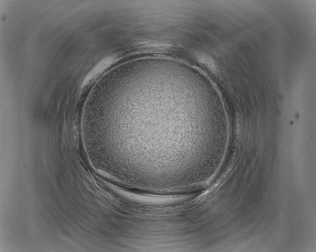 X0000061731354200512091534