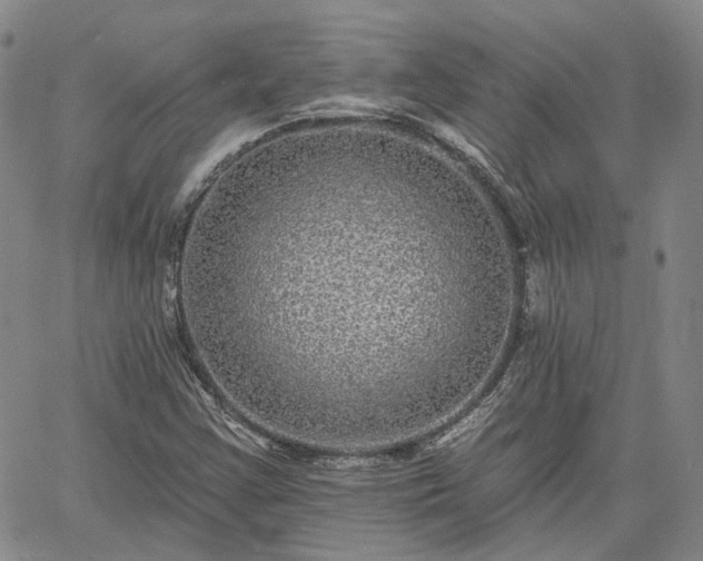 X0000061731355200512091534