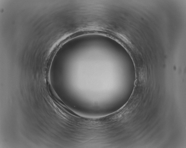 X0000061731356200512091534