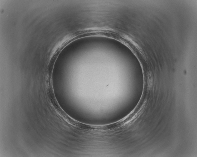 X0000061731357200512091534