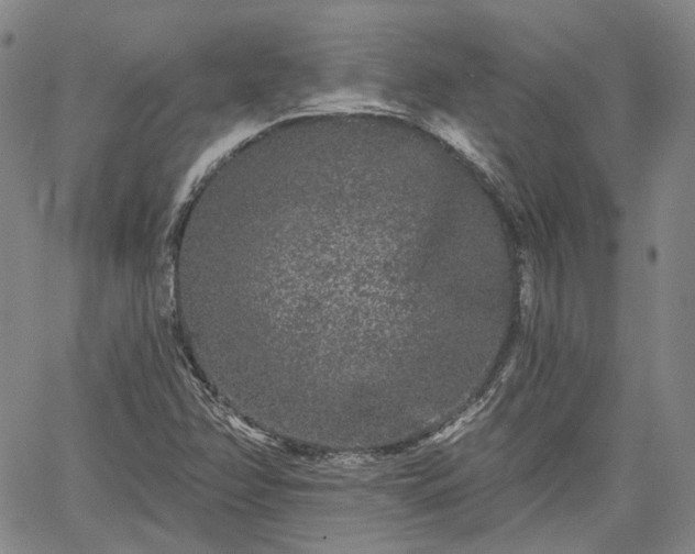 X0000061731358200512091534