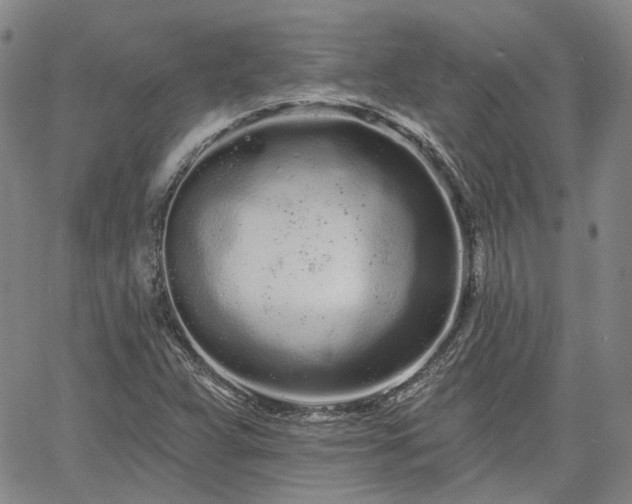 X0000061731359200512091534