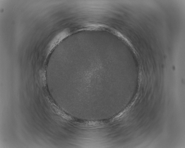 X0000061731362200512091534