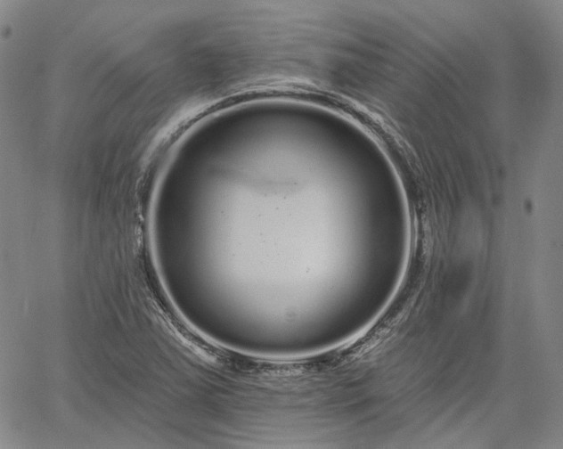 X0000061731363200512091534