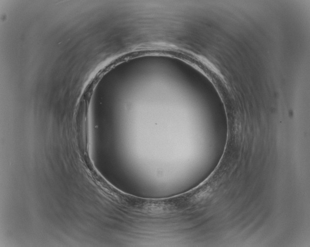 X0000061731364200512091534