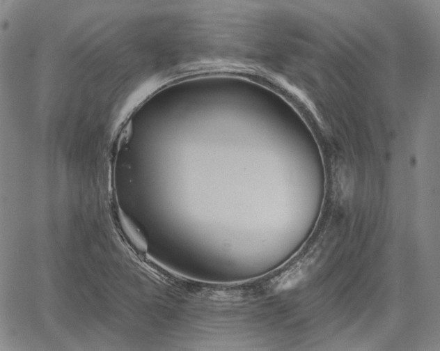 X0000061731365200512091534