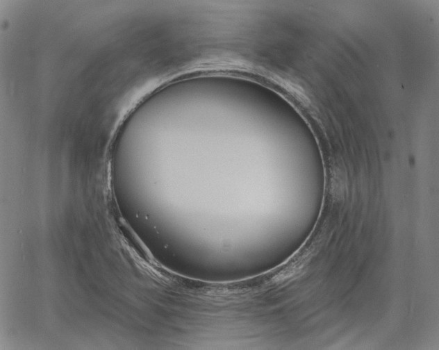 X0000061731366200512091534