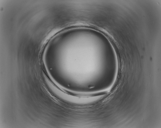 X0000061731367200512091534