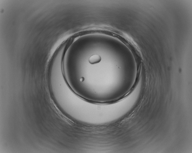 X0000061731368200512091534