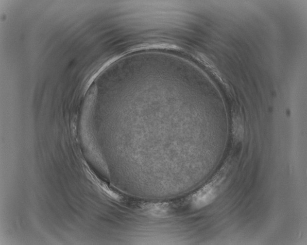 X0000061731369200512091534