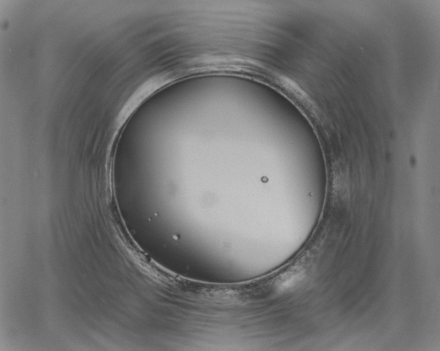 X0000061731370200512091534