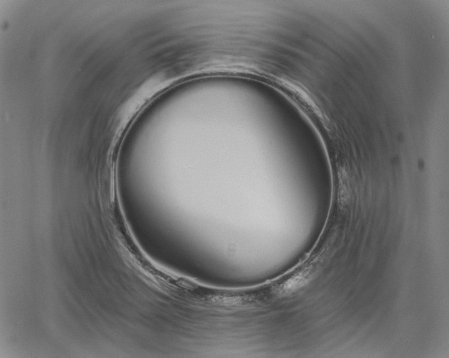 X0000061731371200512091534