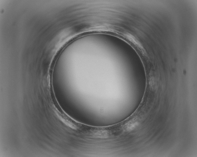 X0000061731372200512091534