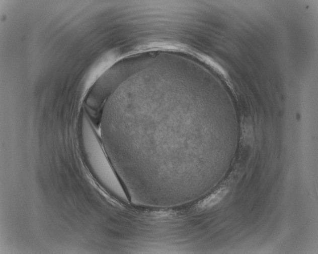 X0000061731373200512091534