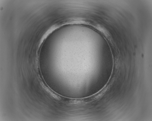 X0000061731374200512091534