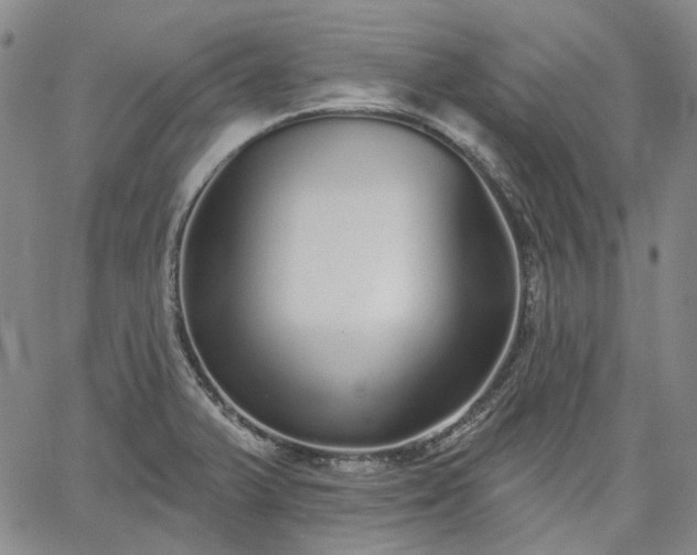 X0000061731375200512091534