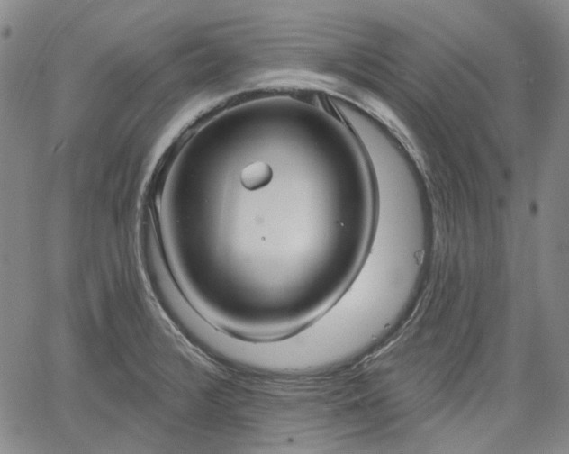 X0000061731376200512091534