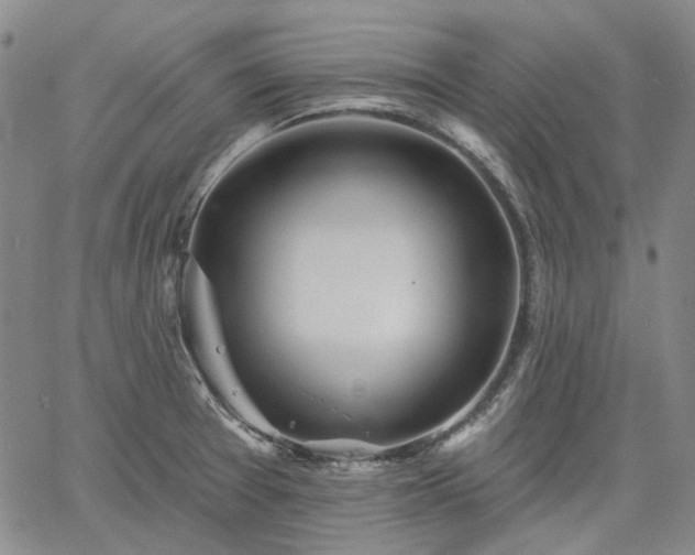 X0000061731377200512091534