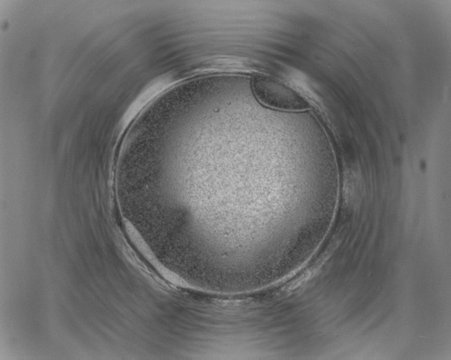 X0000061731378200512091534