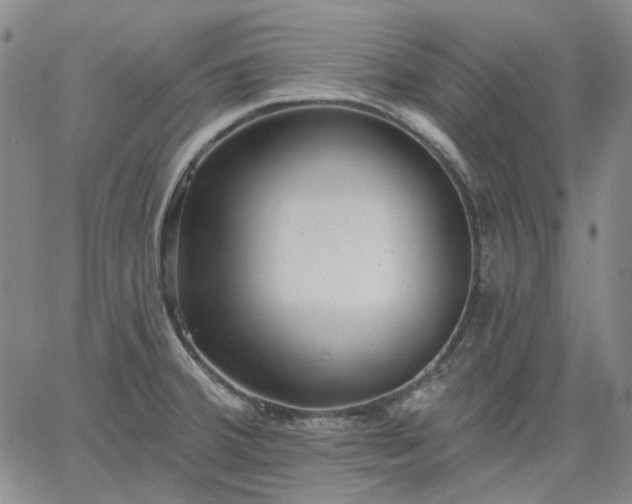 X0000061731380200512091534