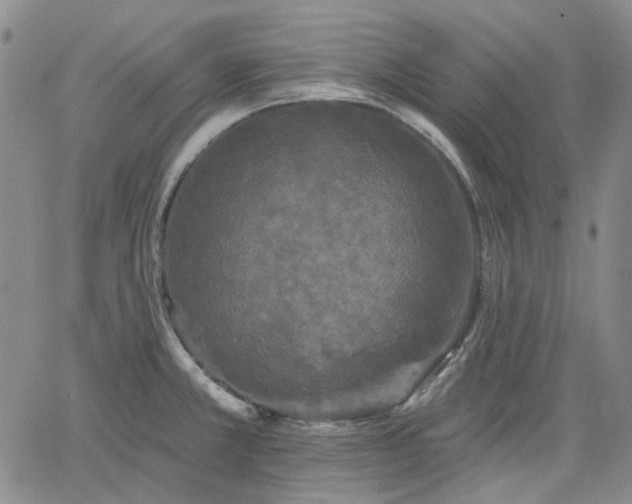 X0000061731381200512091534