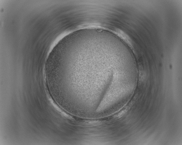 X0000061731382200512091534