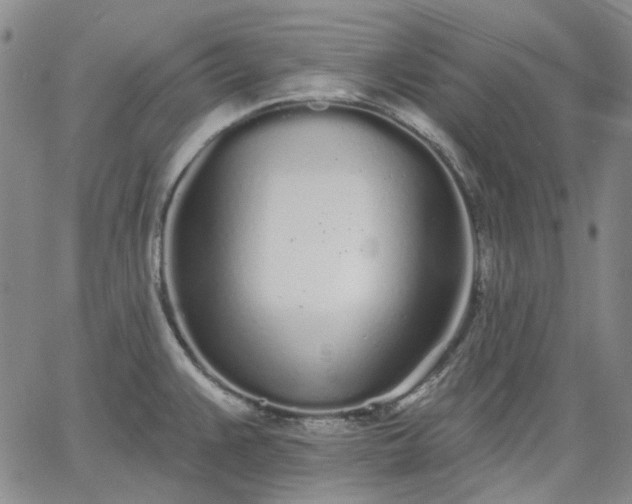 X0000061731383200512091534