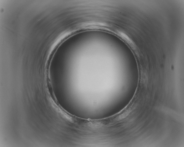 X0000061731384200512091534