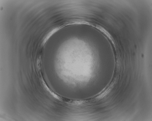 X0000061731385200512091534