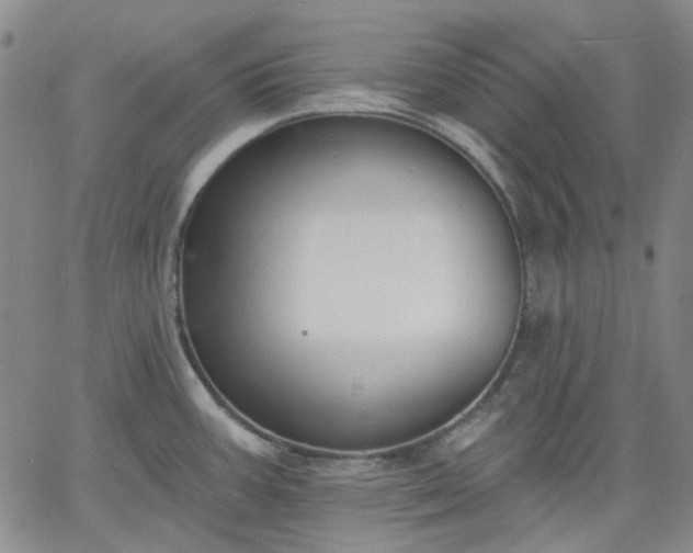 X0000061731387200512091534