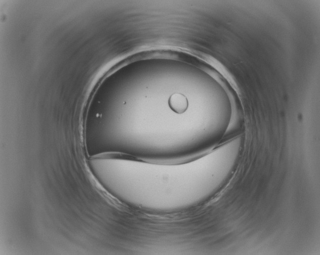 X0000061731388200512091534