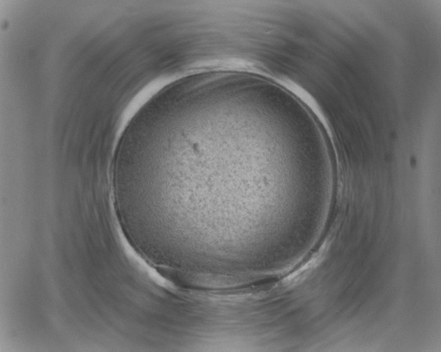 X0000061731389200512091534