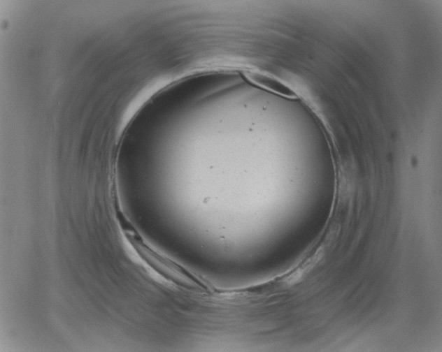 X0000061731390200512091534