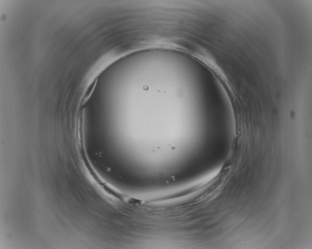 X0000061731391200512091534