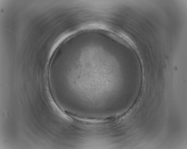 X0000061731392200512091534