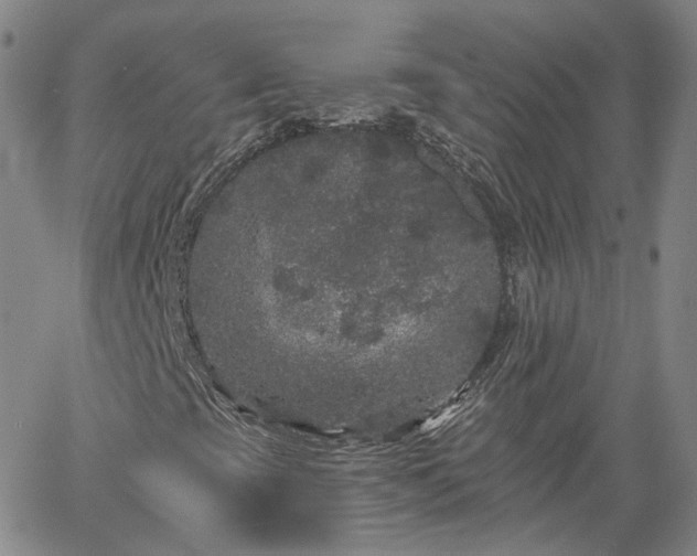 X0000061731393200512091533