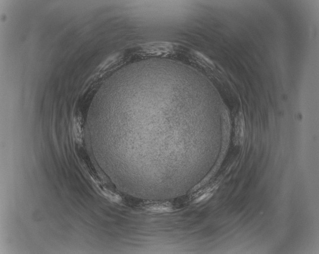 X0000061731394200512091533