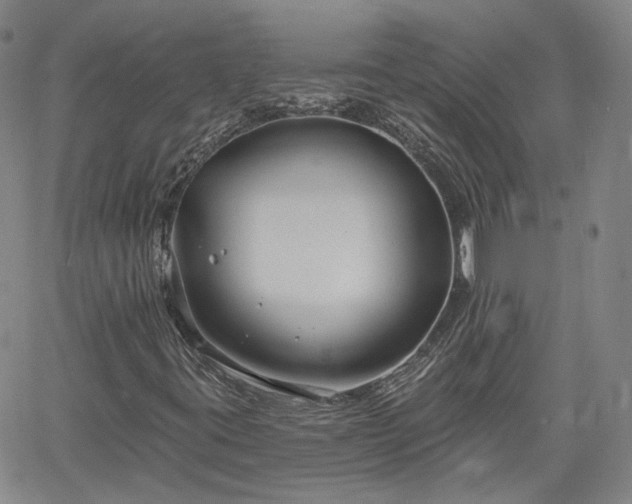 X0000061731395200512091533