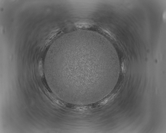 X0000061731396200512091533