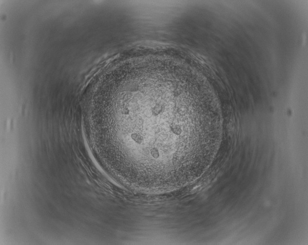 X0000061731397200512091533