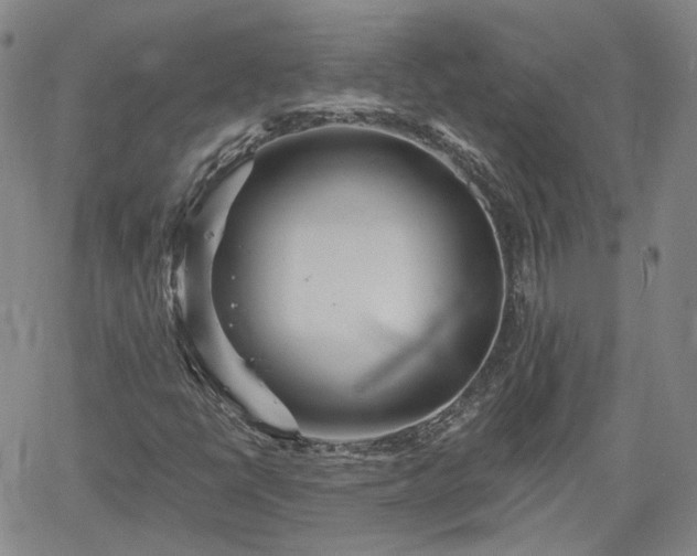 X0000061731398200512091533