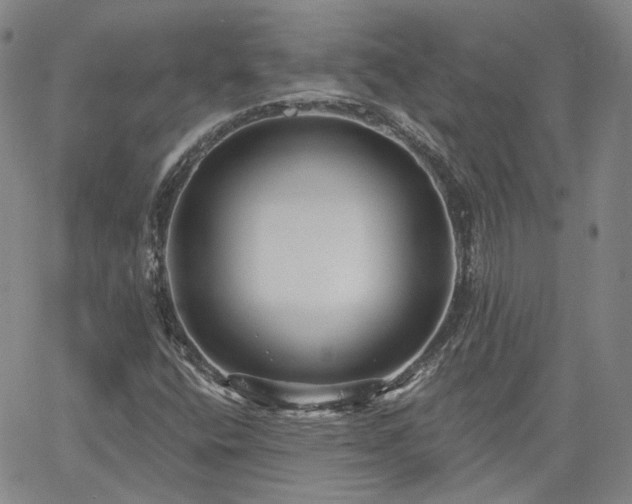 X0000061731400200512091533