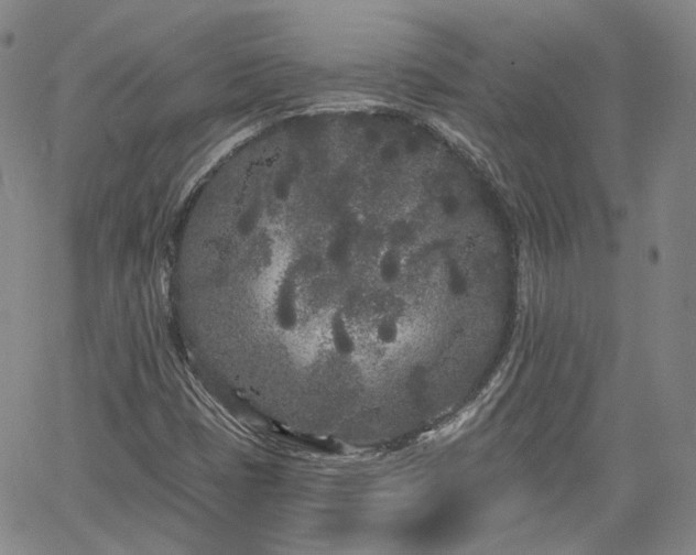 X0000061731401200512091533