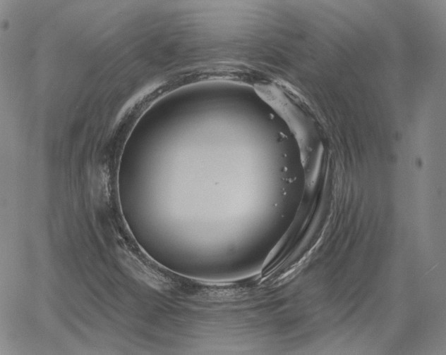 X0000061731402200512091533