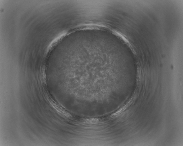 X0000061731403200512091533